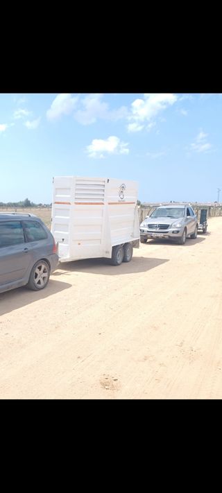 Transporte de caballos