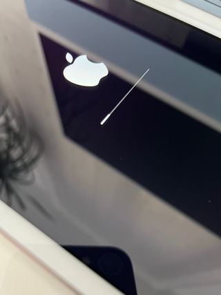 Ipad mini