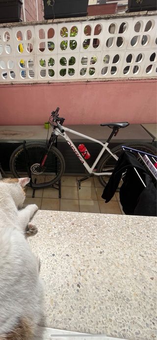 Bicicleta Orbea Alma H20