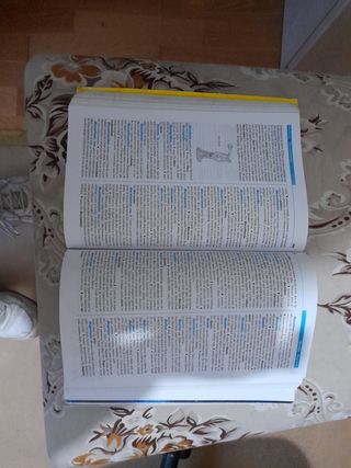 Diccionario castellano