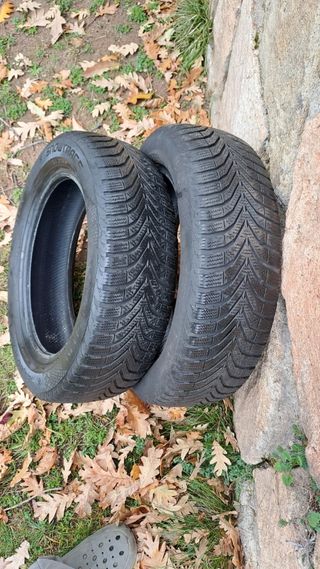 neumáticos invierno marca Vredestein