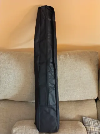 Guitarra Raimundo mod Viajera , coleccionistas