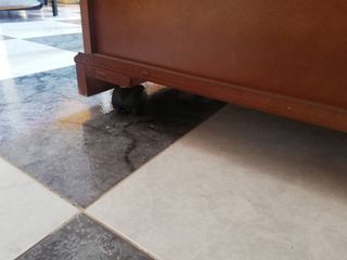 Mueble televisor antiguo