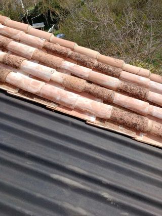 URBANIZACIÓN LAS CASTILLAS