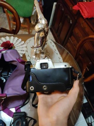 NIKON ANALOGICA F 60