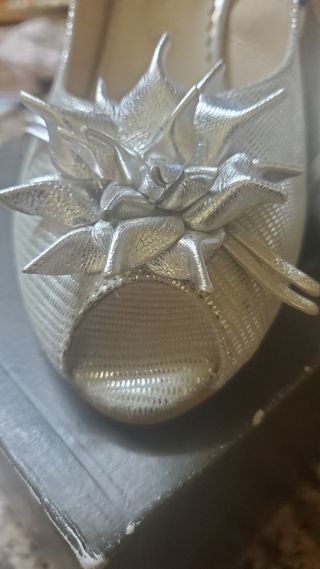 Zapatos plata fiesta