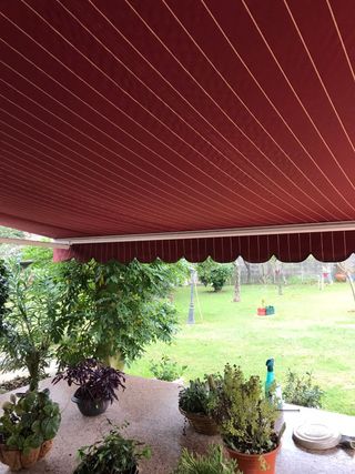 Toldo