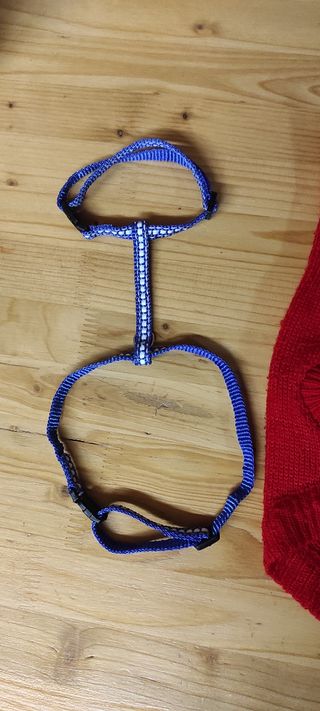Set per cani di piccola taglia