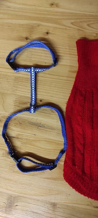 Set per cani di piccola taglia