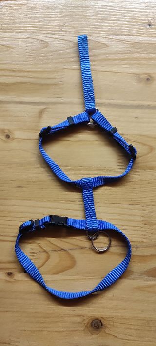 Set per cani di piccola taglia