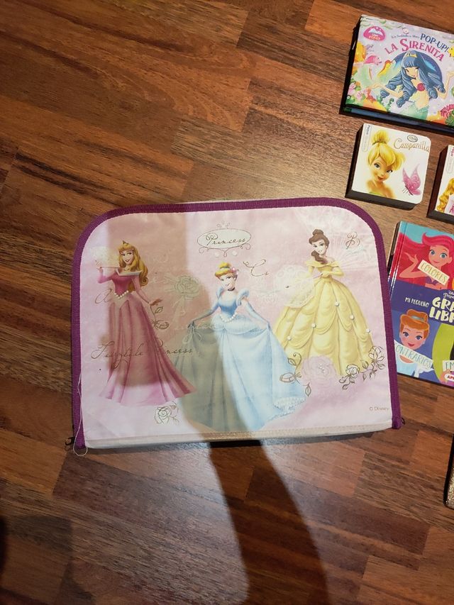 Lote libros princesas