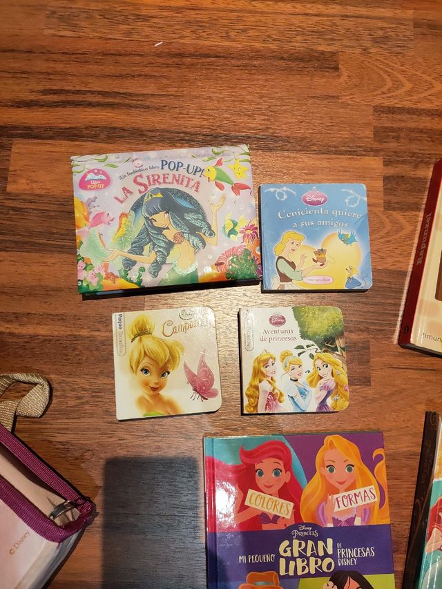 Lote libros princesas