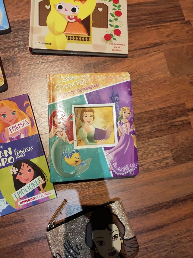 Lote libros princesas