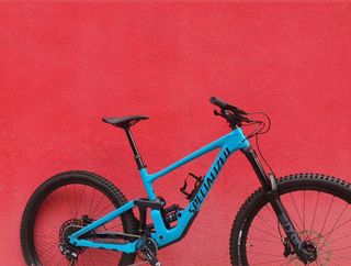 Specialized Enduro 29 2021 Bicicleta
