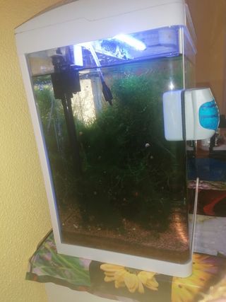 acuario con mesa y accesorios