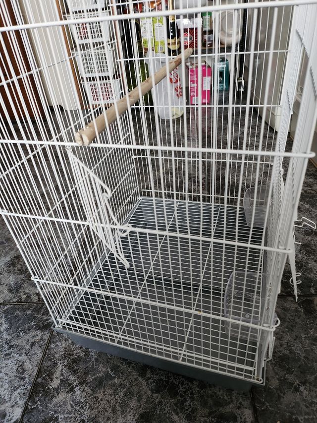 Jaula  Ninfas--Agapornis