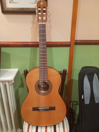 Guitarra con funda, trípode y afinador