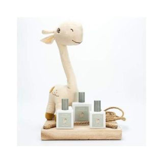 Perfumes equivalentes.