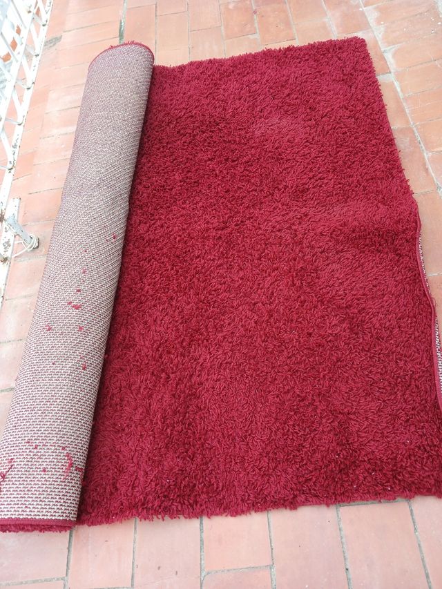 Historia de la filosofía, C.O.U