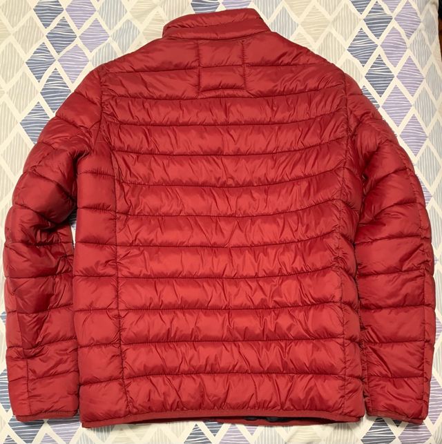 Chaqueta Springfield