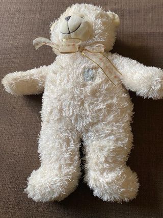 orso peluche