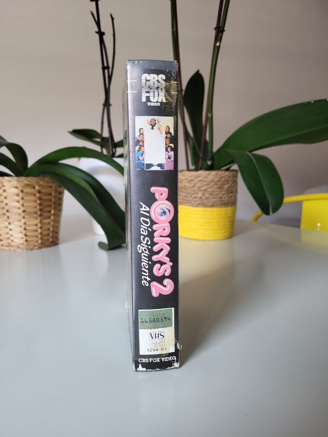 Porky's 2 al día siguiente