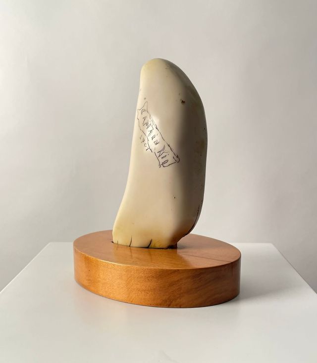 colmillo de cachalote réplica vintage