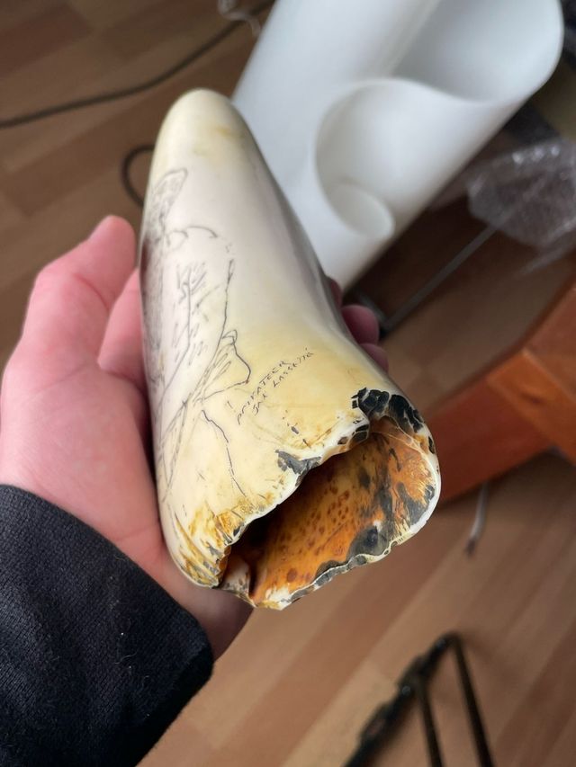 colmillo de cachalote réplica vintage