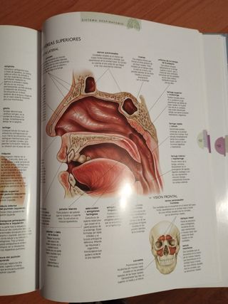 Atlas del cuerpo humano