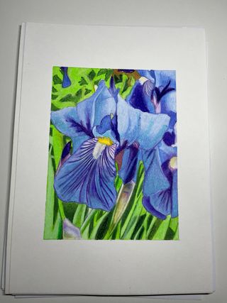 iris quadretto