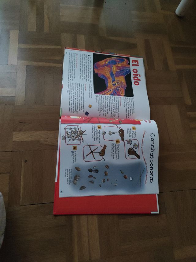 Libro de manualidades de nuestro cuerpo