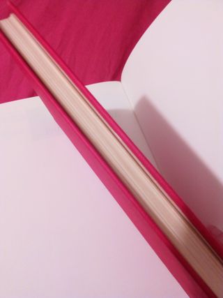 Libro Crónica de una muerte...