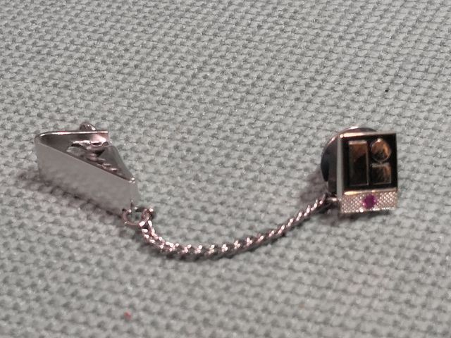 Spilla premio di riconoscimento LITTON Industries