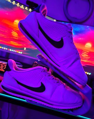 Organizador para Zapatos Diferentes Colores/Medida