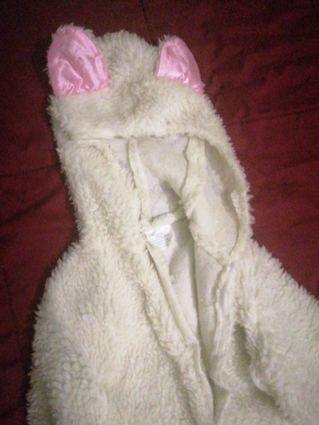 Disfraz de peluchito
