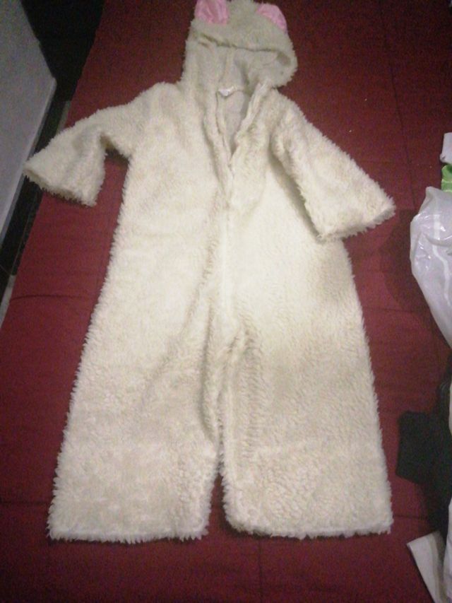 Disfraz de peluchito