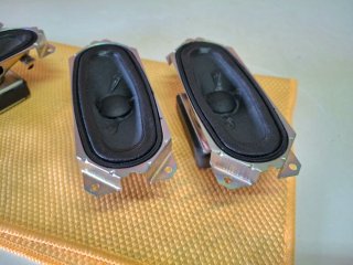 Altavoces para plasmas pioneer kuro