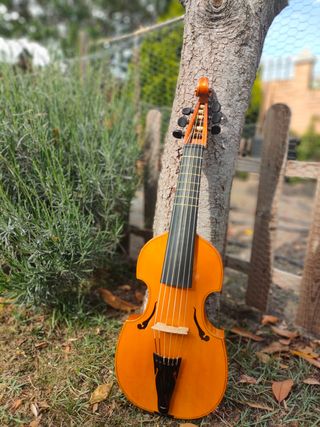 Viola da gamba soprano