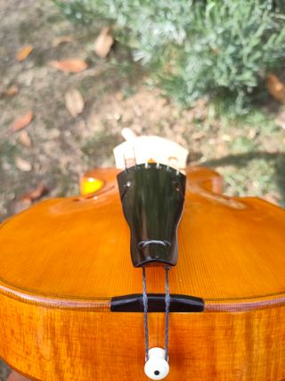 Viola da gamba soprano
