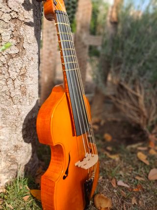 Viola da gamba soprano