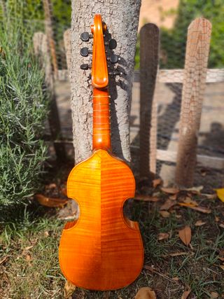 Viola da gamba soprano