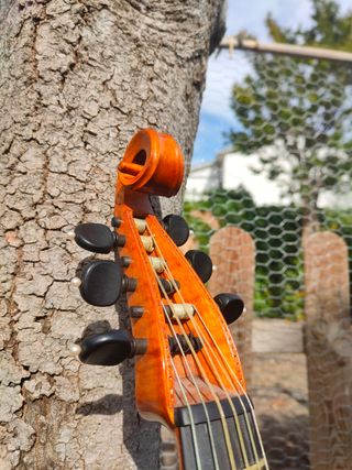 Viola da gamba soprano