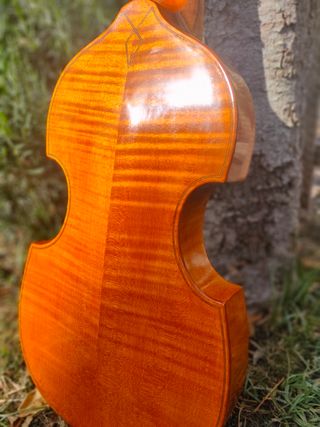 Viola da gamba soprano
