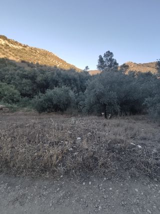 Terreno en venta