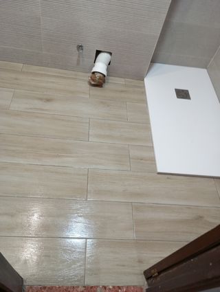 Albañil Profesional 