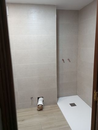 Albañil Profesional 