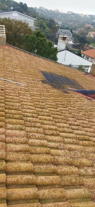 LIMPIAR TODO TIPO DÉ TEJAS Y PINTAMOS CÓMO NUEVOS 