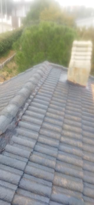 LIMPIAR TODO TIPO DÉ TEJAS Y PINTAMOS CÓMO NUEVOS 