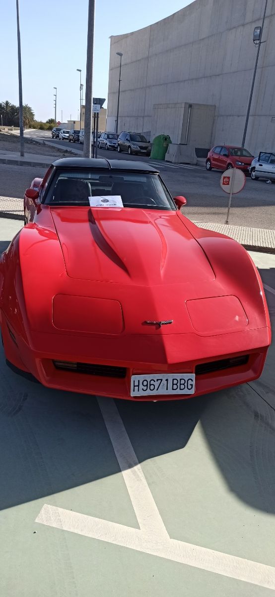 Chevrolet Corvette 1981 - foto 1