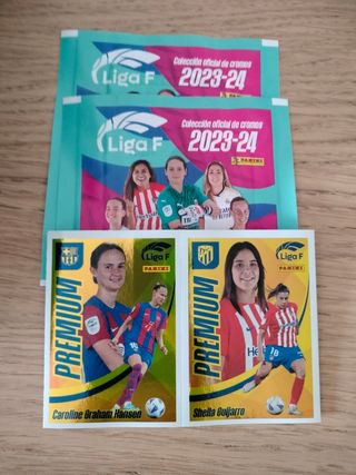 LOTE CROMOS FÚTBOL FEMENINO